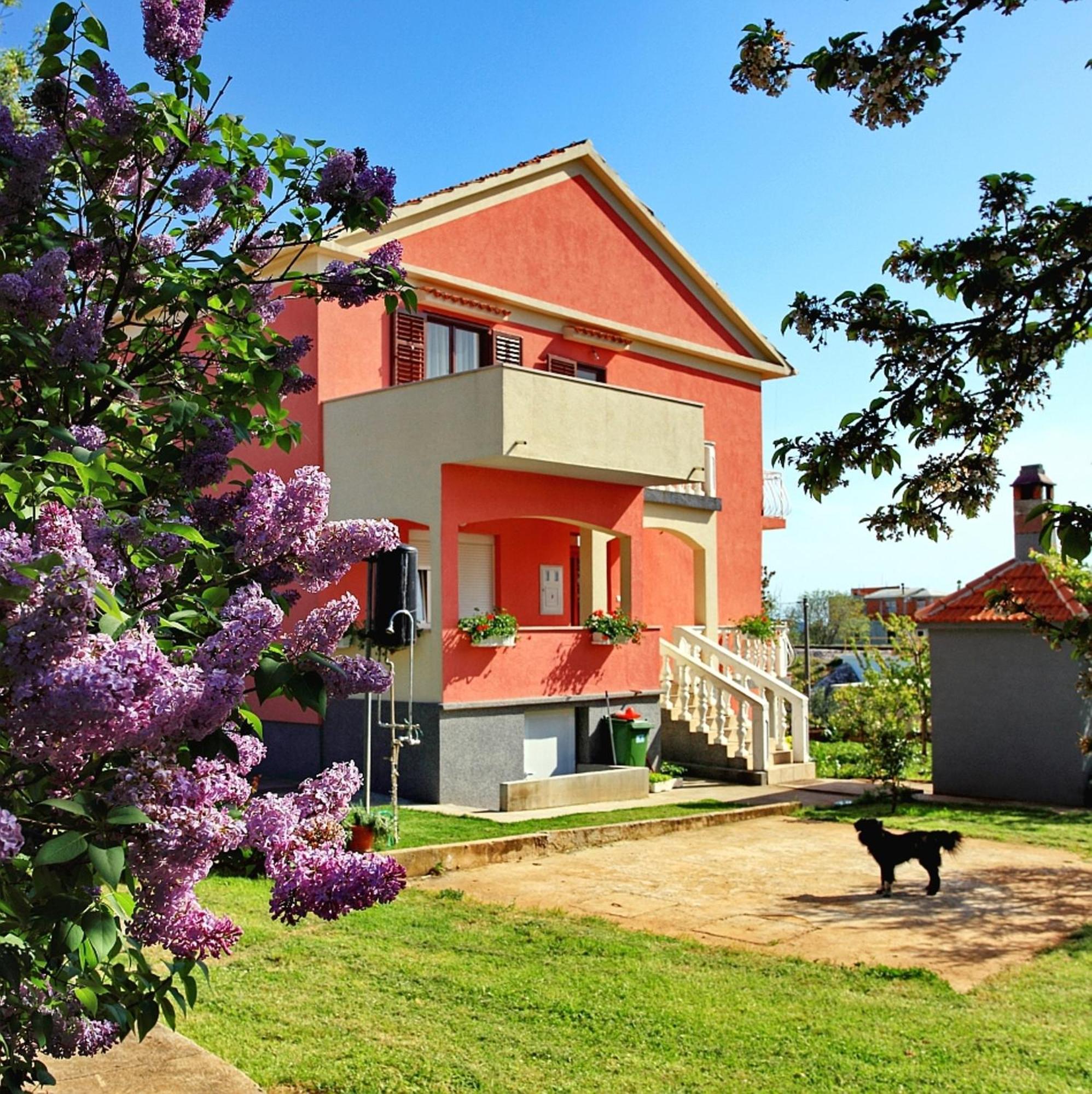 Apartments Soric Bibinje Exterior foto